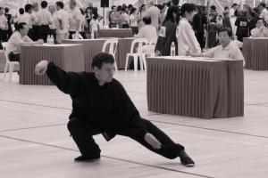 Ecole de Cheng Hsin d'Isère, Grenoble