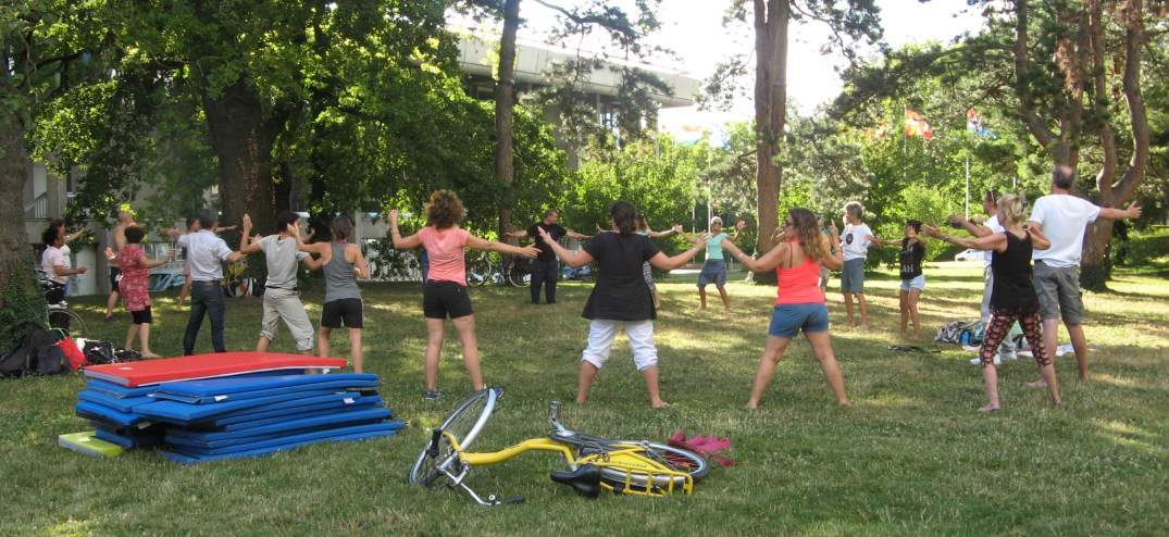 Cours de Tai Chi Chuan et Qi Gong