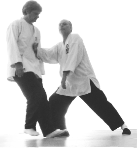 Ecole de Cheng Hsin d'Isère, Grenoble