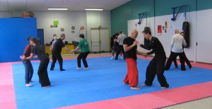 Bruno Cointrel, professeur de Qi Gong, Tai Chi et Cheng Hsin