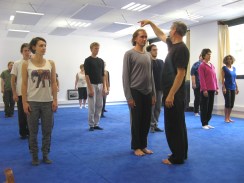 Bruno Cointrel, Ecole de Cheng Hsin d'Isère, Cours de Qi Gong, Taï Chi Chuan