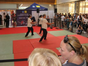 Ecole de Cheng Hsin, Grenoble