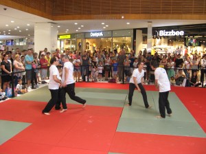 Ecole de Cheng Hsin, Grenoble