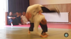 Stage de Cheng Hsin à l'Ecole de Cheng Hsin d'Isère