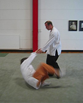 Stage de Cheng Hsin, Dojo Parmentier, Grenoble